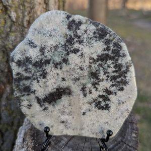 Dendritic Evergreen Jasper Slice